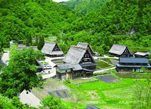 World heritage  Suganuma steep rafter-roofed village.
