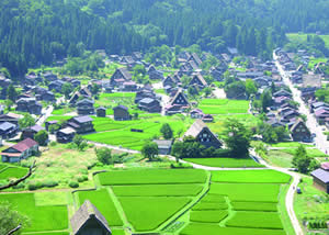 World heritage  Shirakawa-Go steep rafter-roofed village.